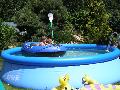 P6080006.jpg