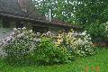 DSC02031.JPG