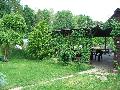 IMG_2092.JPG