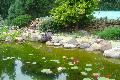 DSC01796.JPG