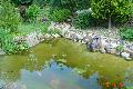 DSC02051.JPG