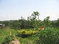 IMG_2108-p.jpg
