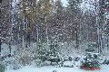 DSC01898.JPG