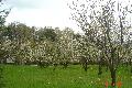 DSC02025.JPG
