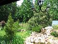 IMG_2139.JPG