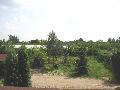 IMG_2169-p.jpg