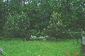 DSC02042-p.jpg